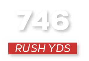 RUSH YDS,74