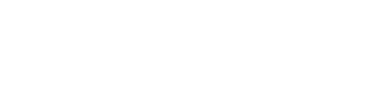 2025 YEAR IN REVIEW