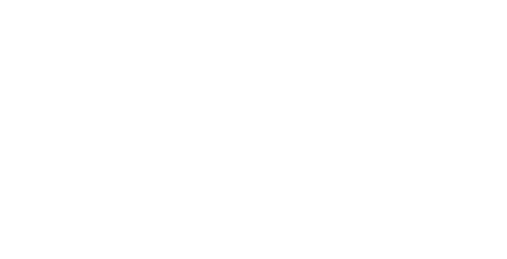  BE BOLD AWARD HOME PERFORMANCE AWARD SHOWCASE ROUTINE AWARD 2 DTU PRO AWARDS 28 INDIVIDUAL SUPERIOR AWARDS 