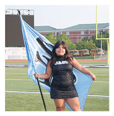 A woman in a black dress is holding a blue flag and standing on a football field. AI generated content