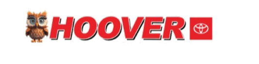 Toyota logo with an owl. AI generated content