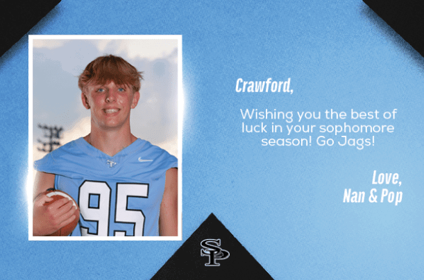 A football player wearing a blue jersey with the number 95 on it. AI generated content