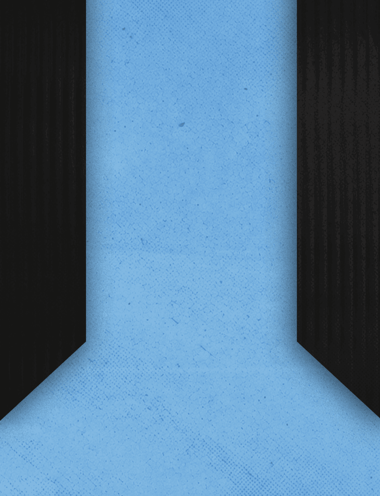 Two red and black triangles. Description generated by AI