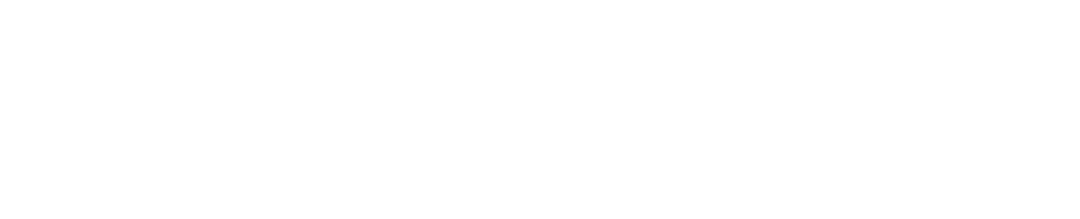 Spain Park band