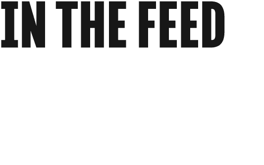 IN THE FEED