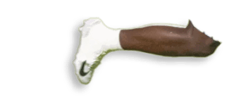 A person wearing white athletic shoes and white socks is captured mid-air while running on a grassy field. Description generated by AI