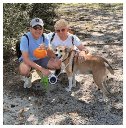 Two people wearing casual clothes and sunglasses crouch on a gravel path while holding a small pumpkin and petting a medium-sized dog on a leash. Description generated by AI