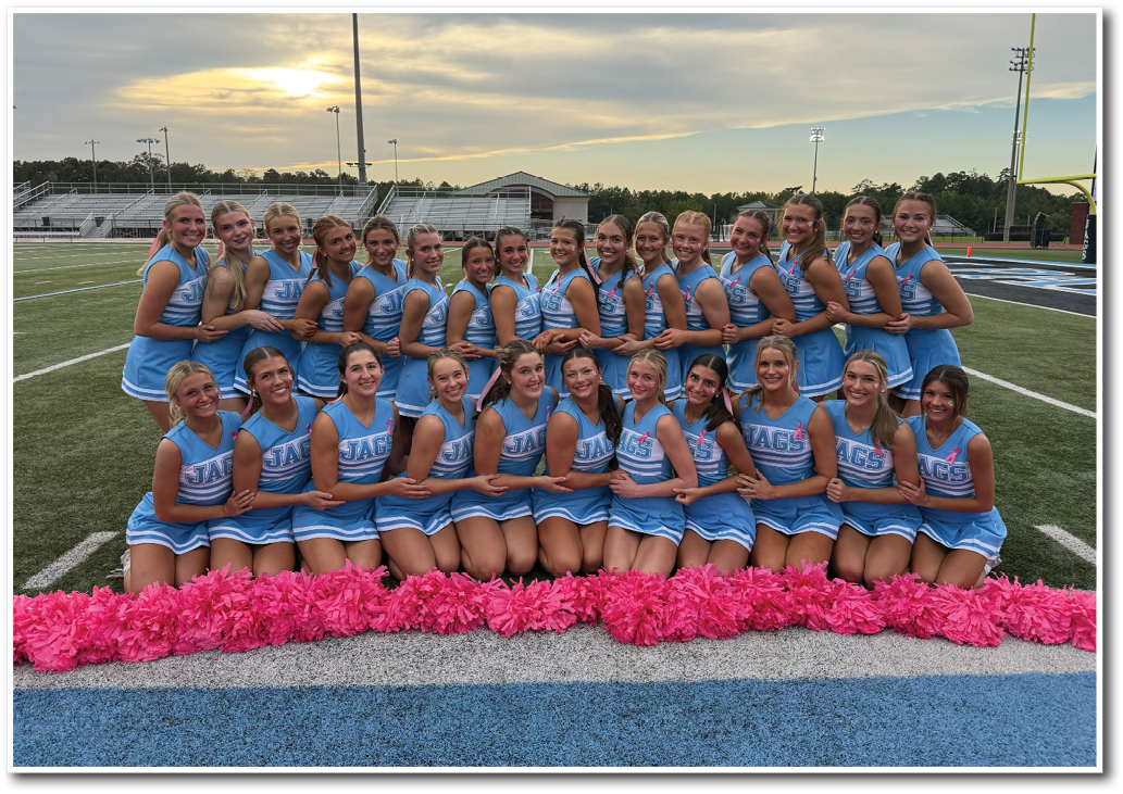 A group of adults in matching blue cheerleading uniforms pose together on a football field with pink pom-poms arranged in front of them during sunset. Description generated by AI