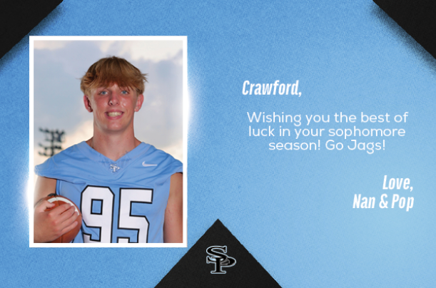 A football player wearing a blue jersey with the number 95 on it. AI generated content