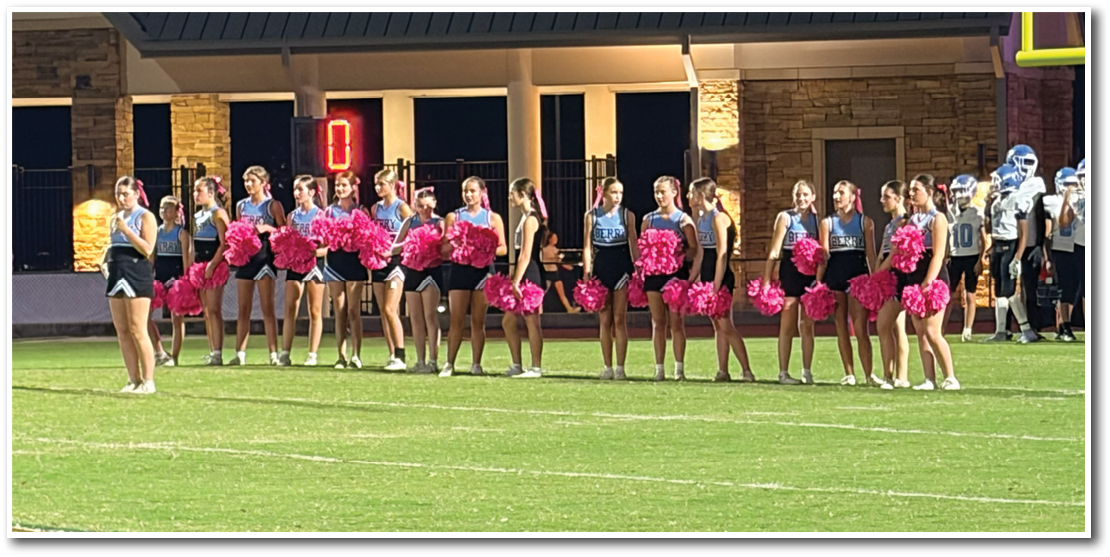 A group of people in matching outfits holding pink pom-poms stand in a line on a football field near a goalpost while a team in uniforms gathers in the background. Description generated by AI