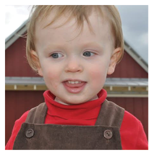 A young child wearing a red shirt and brown overalls is standing in front of a red barn. AI generated content