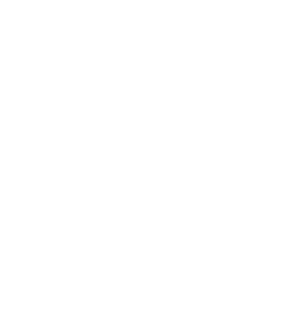 int,