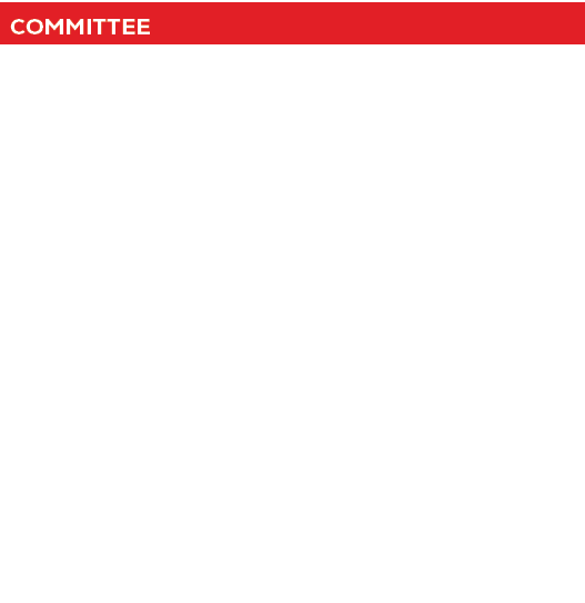 Committee,Sponsorships & Gameday Program,Christy Nye & Sarah Hatalla,Press Box,Katie Schmoeckel, Kelly Hoskins, Ashle...