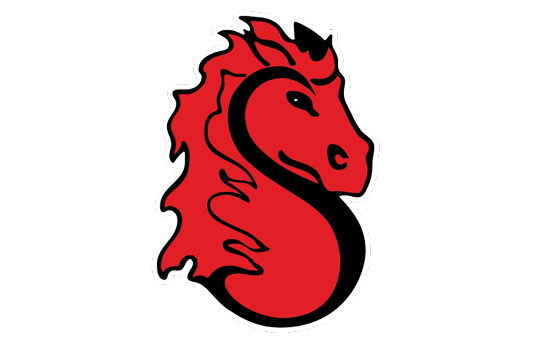 A red and black bird with a yellow beak. Description generated by AI