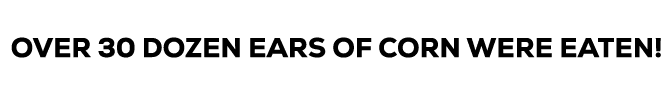 A purple background with white letters that say “Follow Us On". Description generated by AI