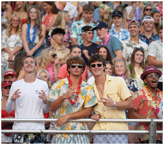 A group of people wearing colorful Hawaiian shirts and leis are standing behind a fence, smiling and making hand gestures at what appears to be a festive outdoor event. Description generated by AI