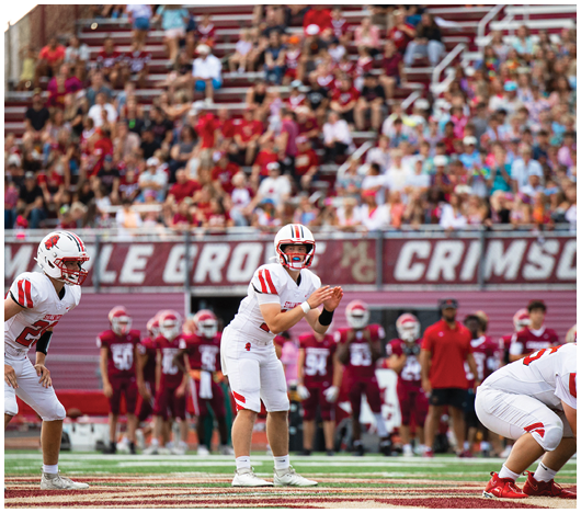 Several football players in helmets and uniforms are engaged in a tackle on a field with yard lines visible. Description generated by AI