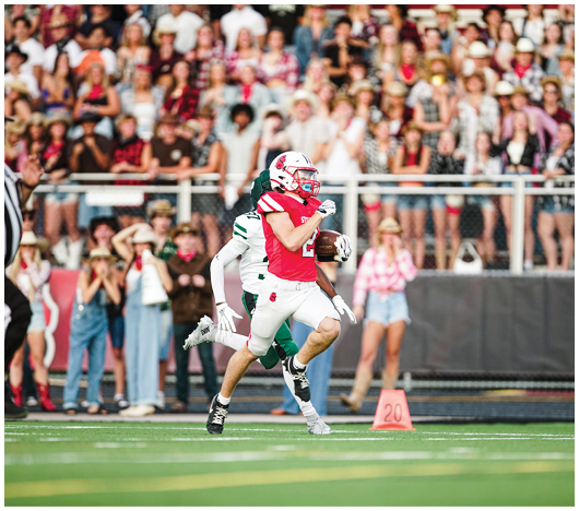 A person in a red sports uniform is running with a football while being chased by another person in a green and white uniform on a football field with a crowd watching in the background. Description generated by AI