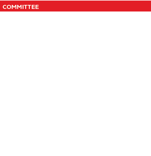 Committee,Sponsorships & Gameday Program,Christy Nye & Sarah Hatalla,Press Box,Katie Schmoeckel, Kelly Hoskins, Ashle...