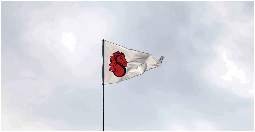 A white flag with a red seahorse emblem is flying against a cloudy sky. Description generated by AI