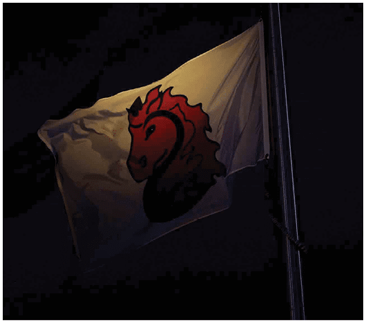 A flag with a red and black stylized horse head design is flying against a dark night sky. Description generated by AI