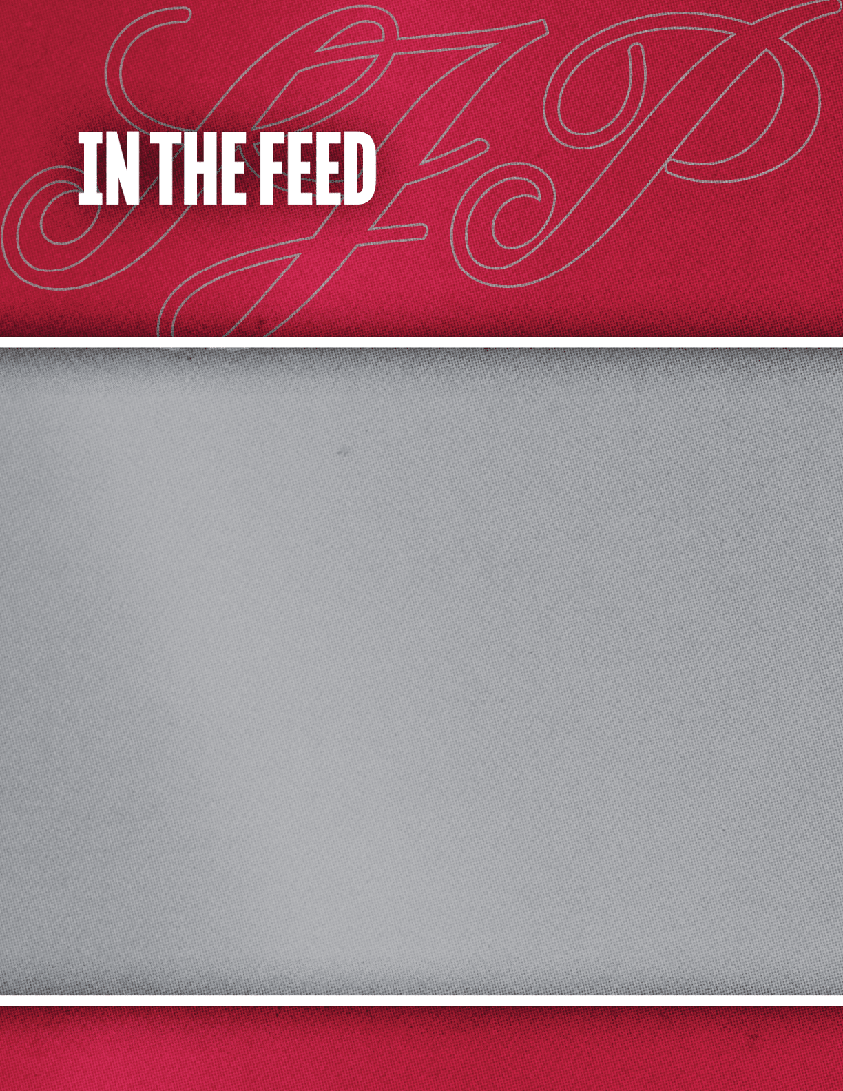 A red textured background with the words “IN THE FEED" in bold white letters overlaid on a faint decorative script. Description generated by AI