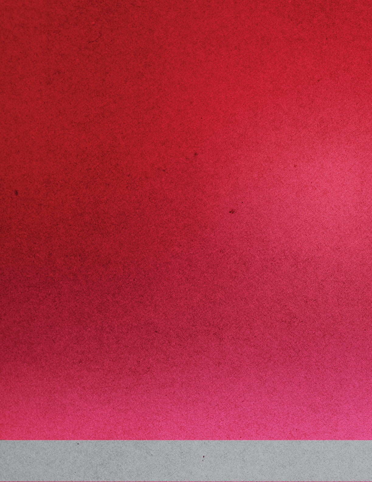 A gradient background transitioning from dark red at the top to bright pink at the bottom. Description generated by AI