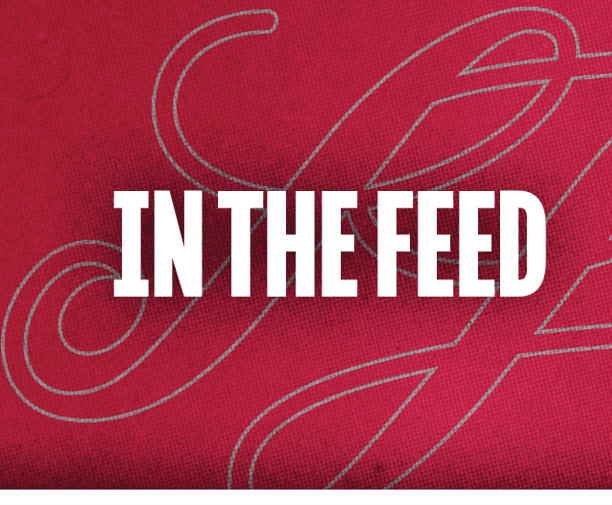 The text “IN THE FEED" is displayed in bold white letters on a red textured background with a faint decorative script pattern. Description generated by AI
