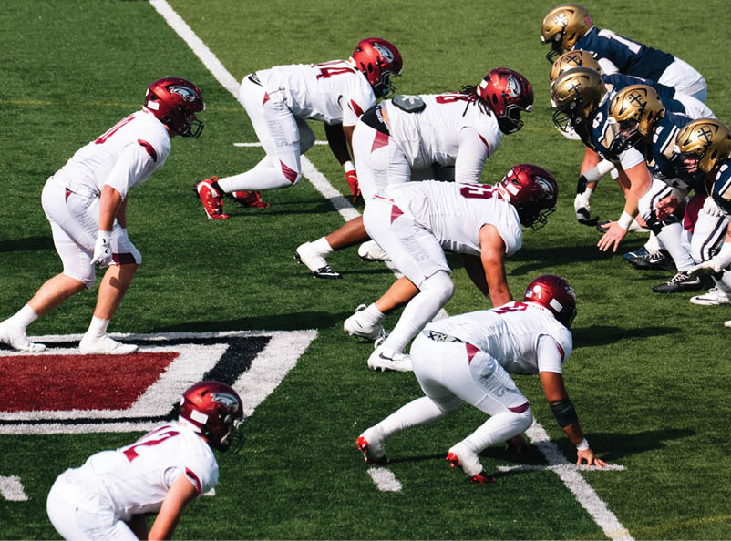Two opposing football teams in helmets and uniforms are lined up on a green field preparing for a play. Description generated by AI
