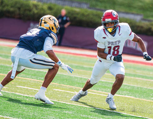 Two people in football uniforms are actively engaged in a play on a grassy field with one person preparing to evade the other. Description generated by AI
