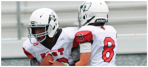 A football player catching a ball. Description generated by AI