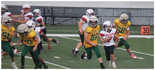 A football player catching a ball. Description generated by AI