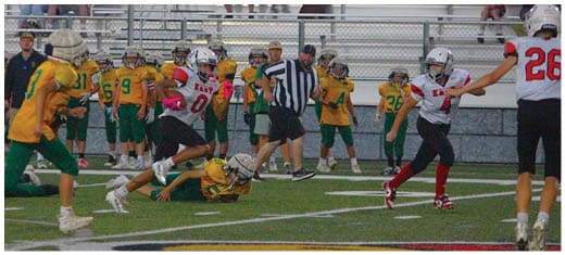 A football player catching a ball. Description generated by AI