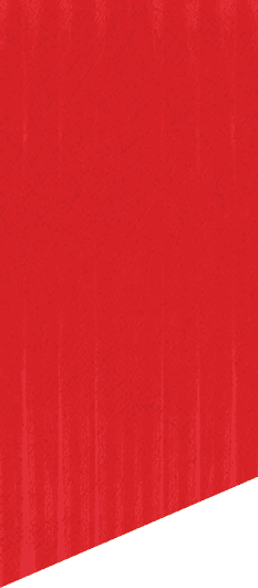 A green and white patterned background. Description generated by AI