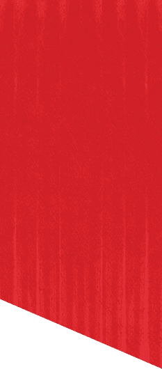 A green and white patterned background. Description generated by AI
