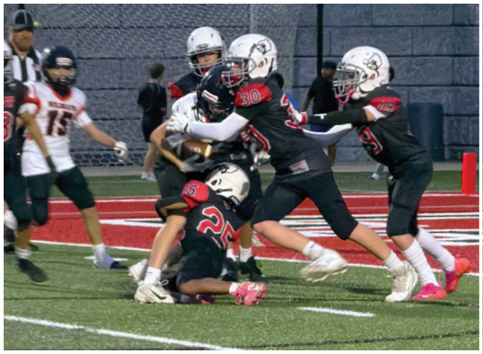 A football player catching a ball. Description generated by AI