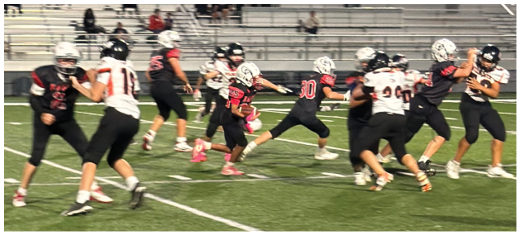 A football player catching a ball. Description generated by AI
