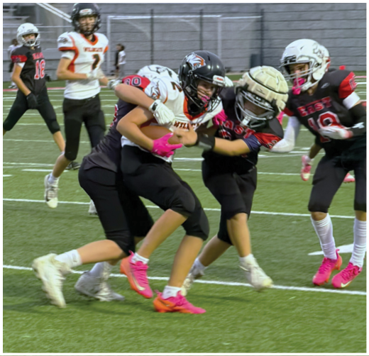 A football player catching a ball. Description generated by AI