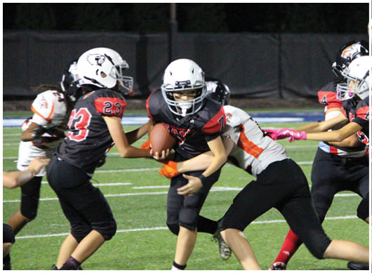 A football player catching a ball. Description generated by AI