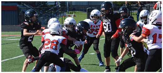 A football player catching a ball. Description generated by AI