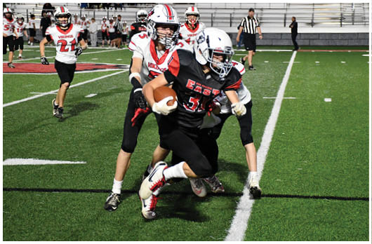 A football player catching a ball. Description generated by AI