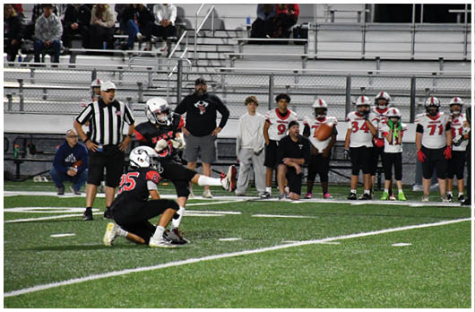 A football player catching a ball. Description generated by AI
