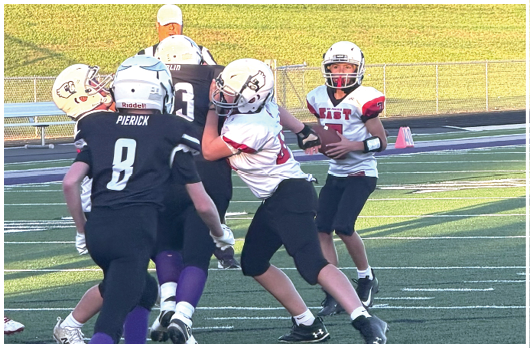 A football player catching a ball. Description generated by AI
