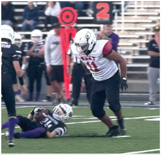 A football player catching a ball. Description generated by AI