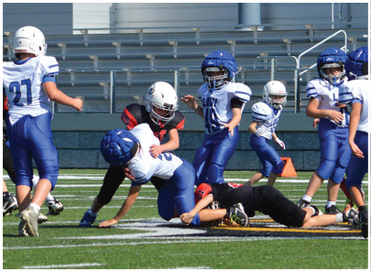 A football player catching a ball. Description generated by AI