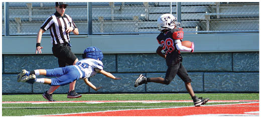A football player catching a ball. Description generated by AI
