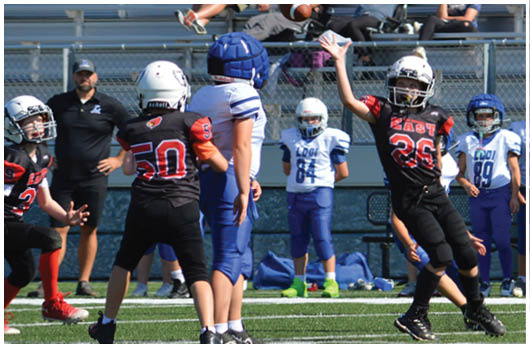 A football player catching a ball. Description generated by AI