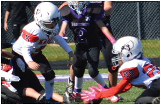 A football player catching a ball. Description generated by AI