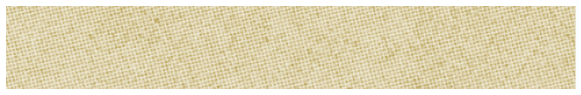 A close-up view of a textured beige fabric strip with a woven pattern. Description generated by AI