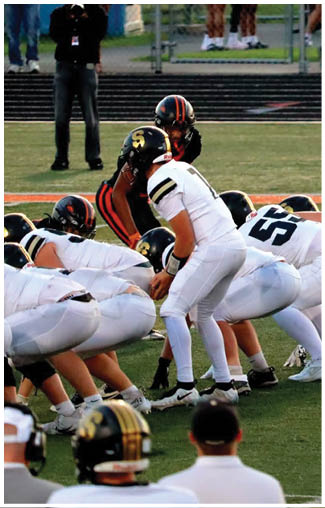 A football player running on the field. Description generated by AI